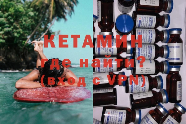 индика Каменка