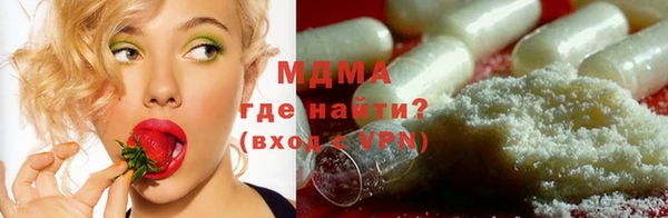индика Каменка
