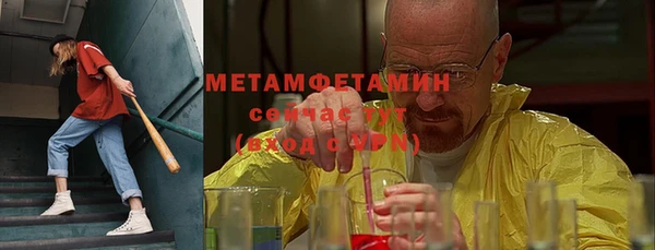 прущие грибы Каменск-Шахтинский