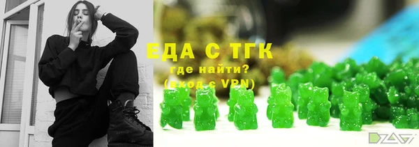 индика Каменка