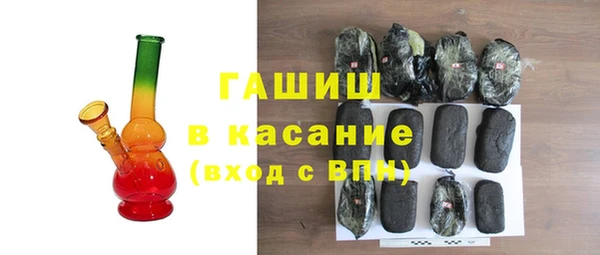 индика Каменка