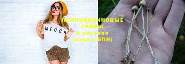 индика Каменка