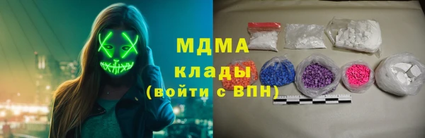 индика Каменка