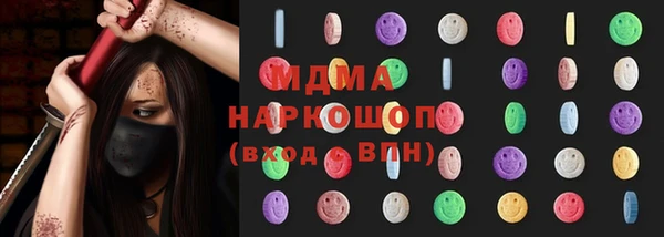 индика Каменка