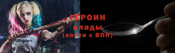 индика Каменка