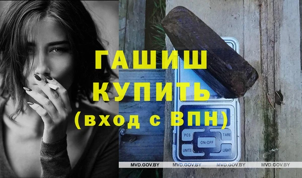 индика Каменка