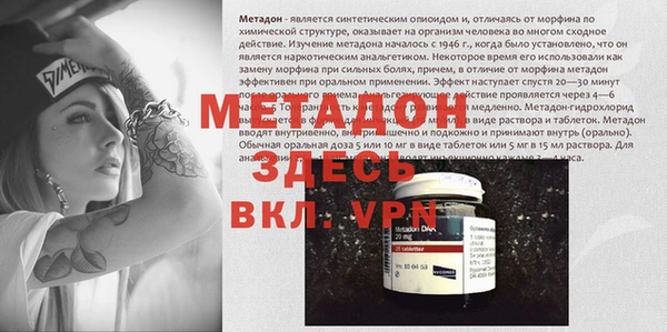 прущие грибы Каменск-Шахтинский