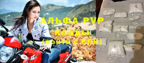 прущие грибы Каменск-Шахтинский