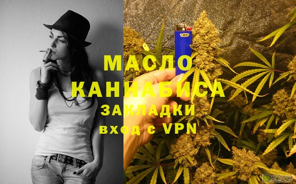индика Каменка