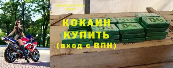 индика Каменка