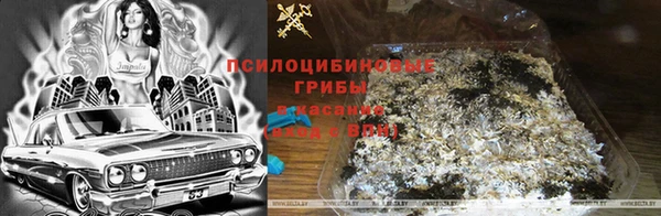индика Каменка
