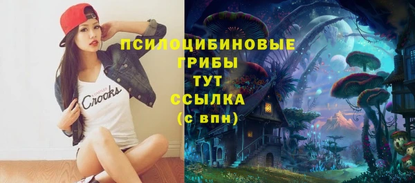 прущие грибы Каменск-Шахтинский