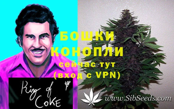 прущие грибы Каменск-Шахтинский