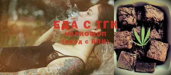 индика Каменка