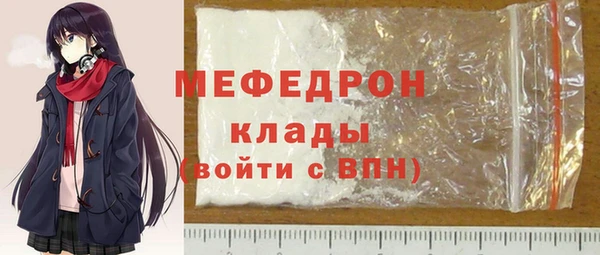 индика Каменка