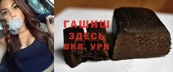 индика Каменка