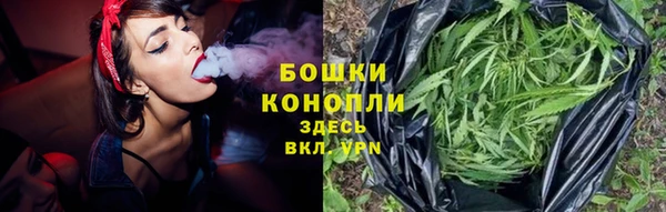 индика Каменка