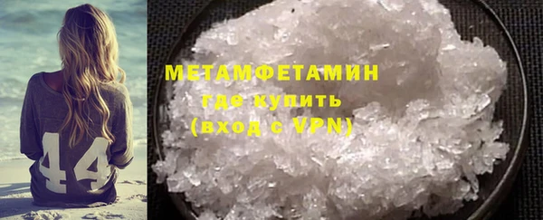 индика Каменка
